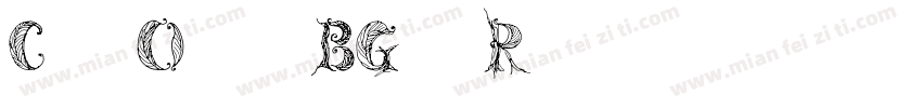 Cf OcrBGr Regular字体转换